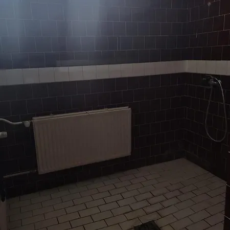 Vandrarhem Wilson-consulting *